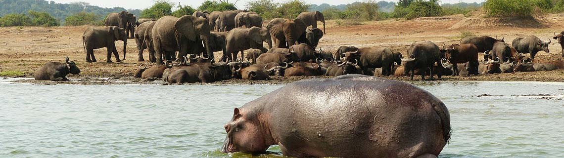 Top Uganda Destination - Queen Elizabeth National Park