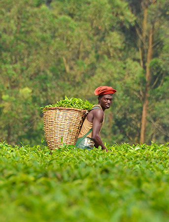 uganda-people-culture