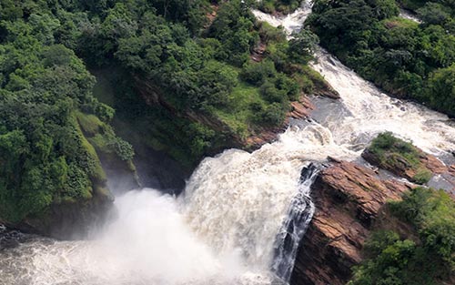 Uganda Bird Watching Tour