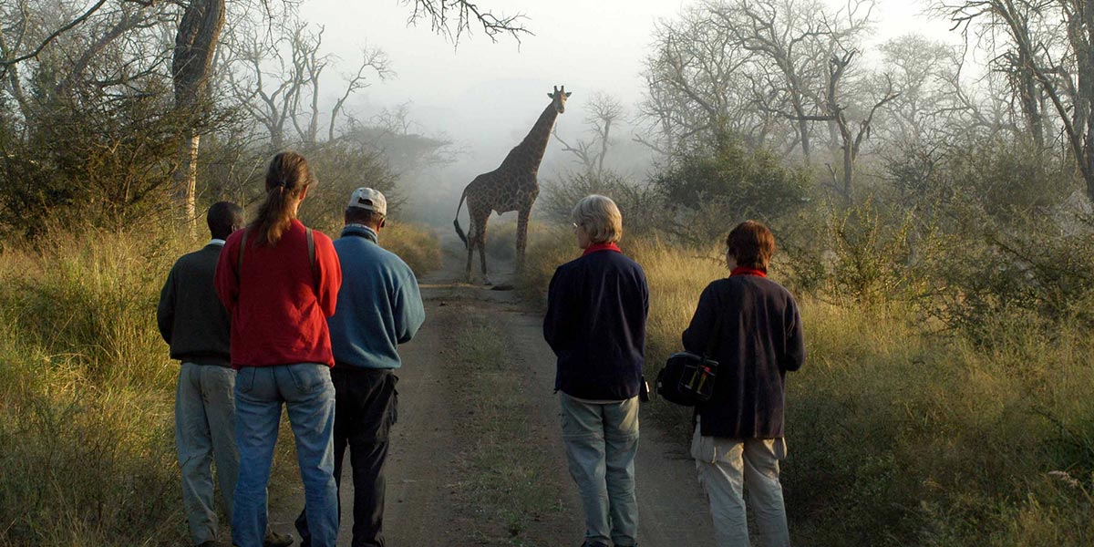 Uganda Walking Safari